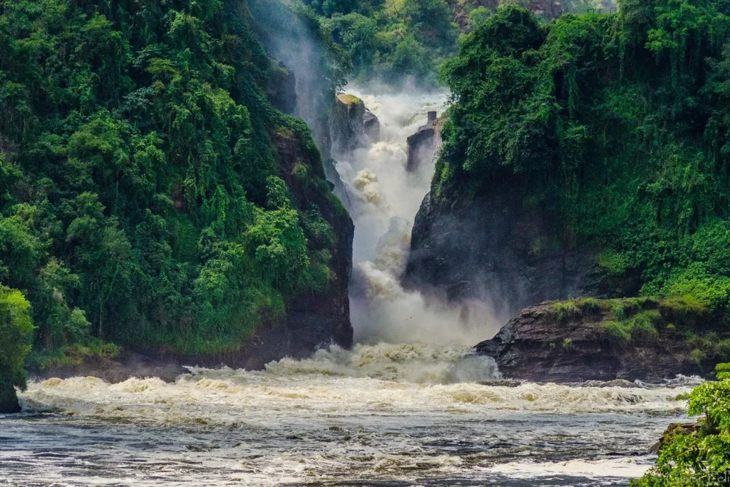 uganda travel guide murchison falls national park
