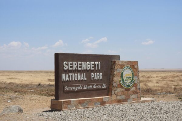1 Day Tanzania Safari in Serengeti National Park