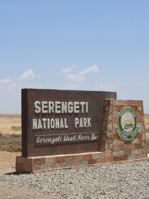 1 Day Tanzania Safari in Serengeti National Park