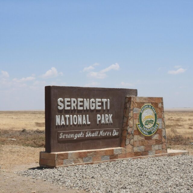 1 Day Tanzania Safari in Serengeti National Park
